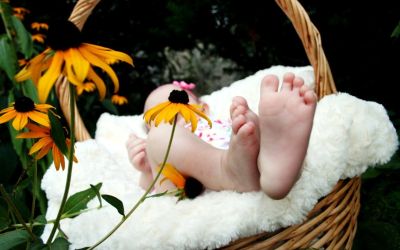 Photo of baby in basket