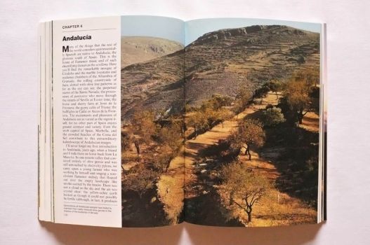 A panoramic photograph of olive groves illustrates the introduction of Chapter 6, on Andalucia.