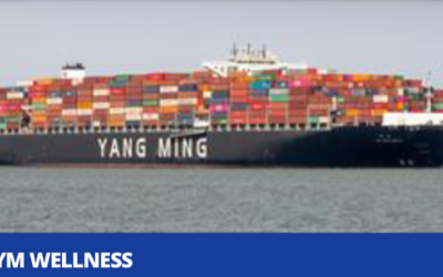 Colour photograph of the Yang Ming corporation’s vessel Y. M Wellness at sea, loaded with up to 700 containers almost obscuring the bridge.