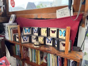 Hand-made butterfly decorations are displayed on top of a bookshelf.