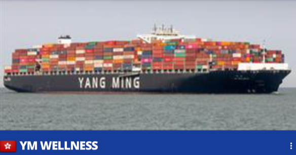 Colour photograph of the Yang Ming corporation’s vessel Y. M Wellness at sea, loaded with up to 700 containers almost obscuring the bridge.