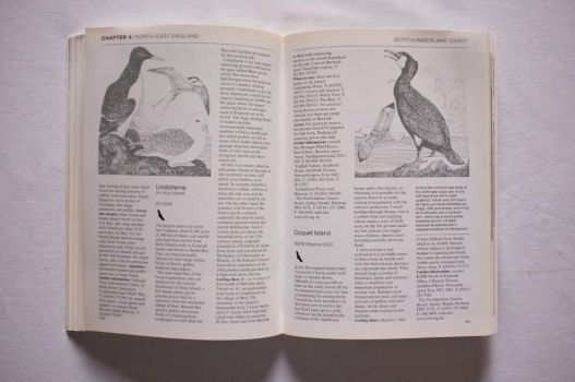 An excerpt from Wild Britain describes the Northumberland coastline, featuring illustrations of birds.
